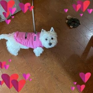 Meet your Posher, Tracie